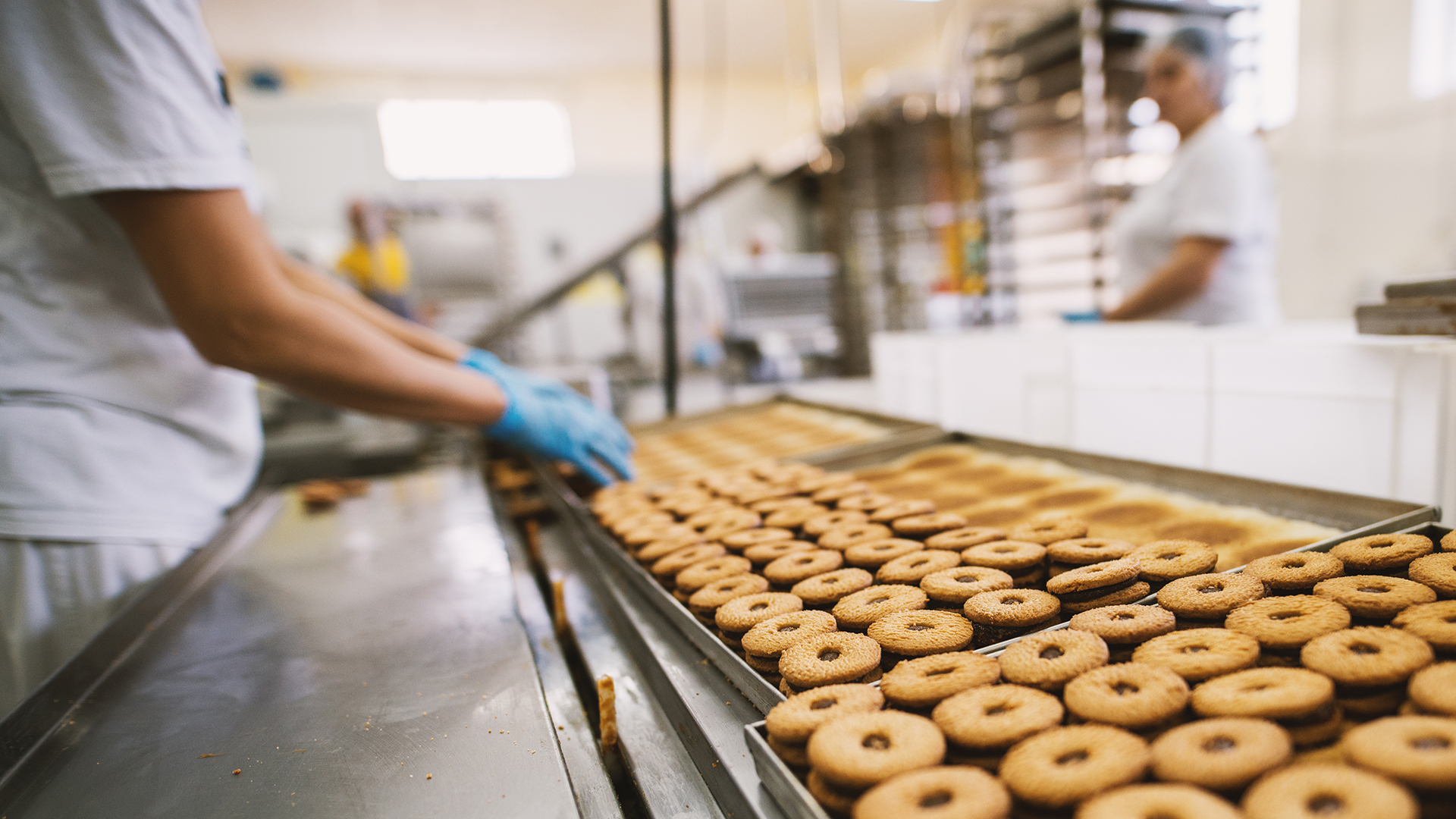 Processing Food Manufacturer